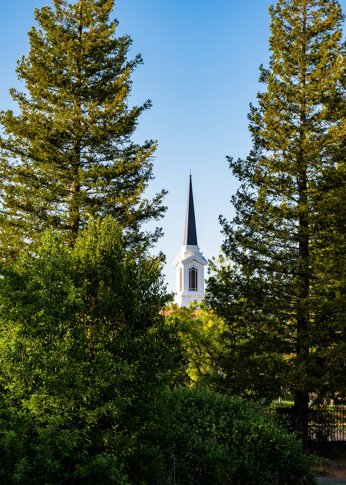 Peterson Lane Park