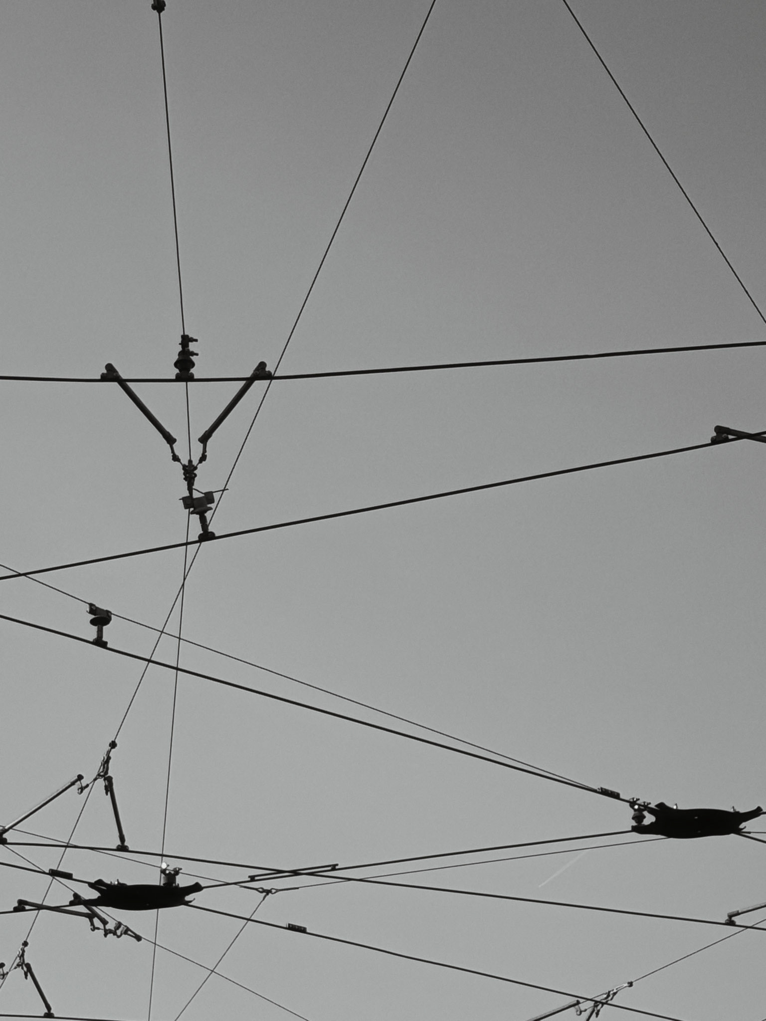 Tram cables / Chaussée de Charleroi, Brussels