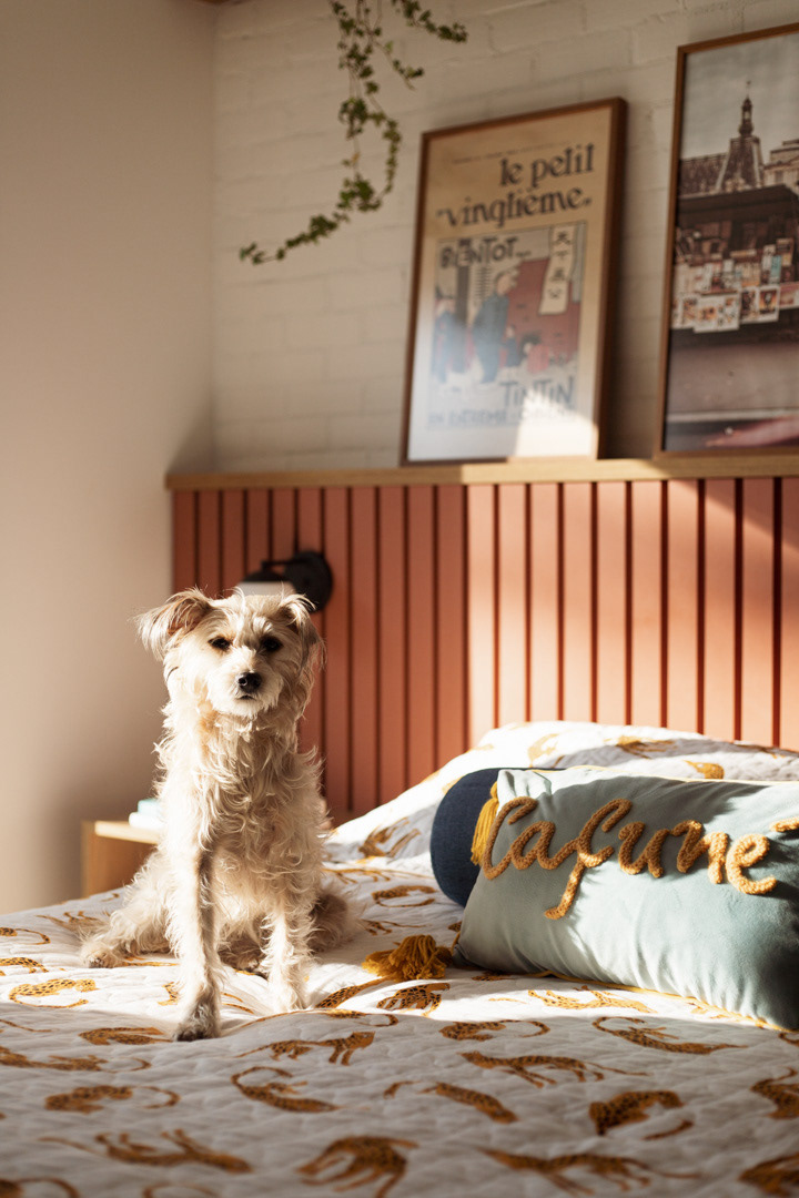 © Mahani Siqueira 2024