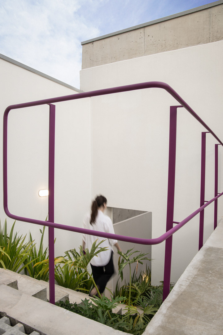 © Mahani Siqueira 2024