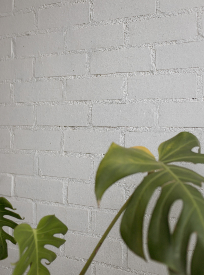 © Mahani Siqueira 2024