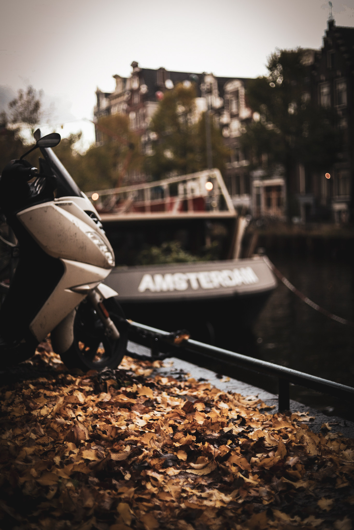 :: Amsterdam :: © Mahani Siqueira 2019