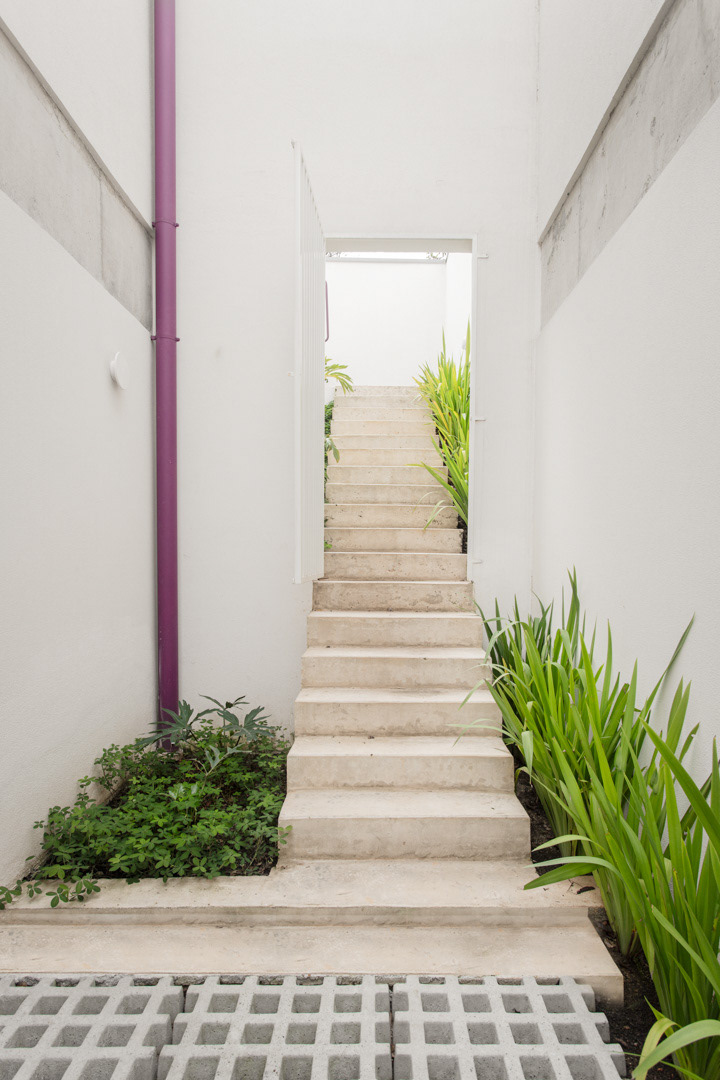 © Mahani Siqueira 2024