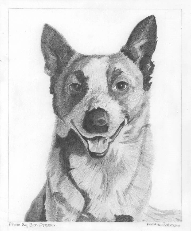 Archie- Graphite