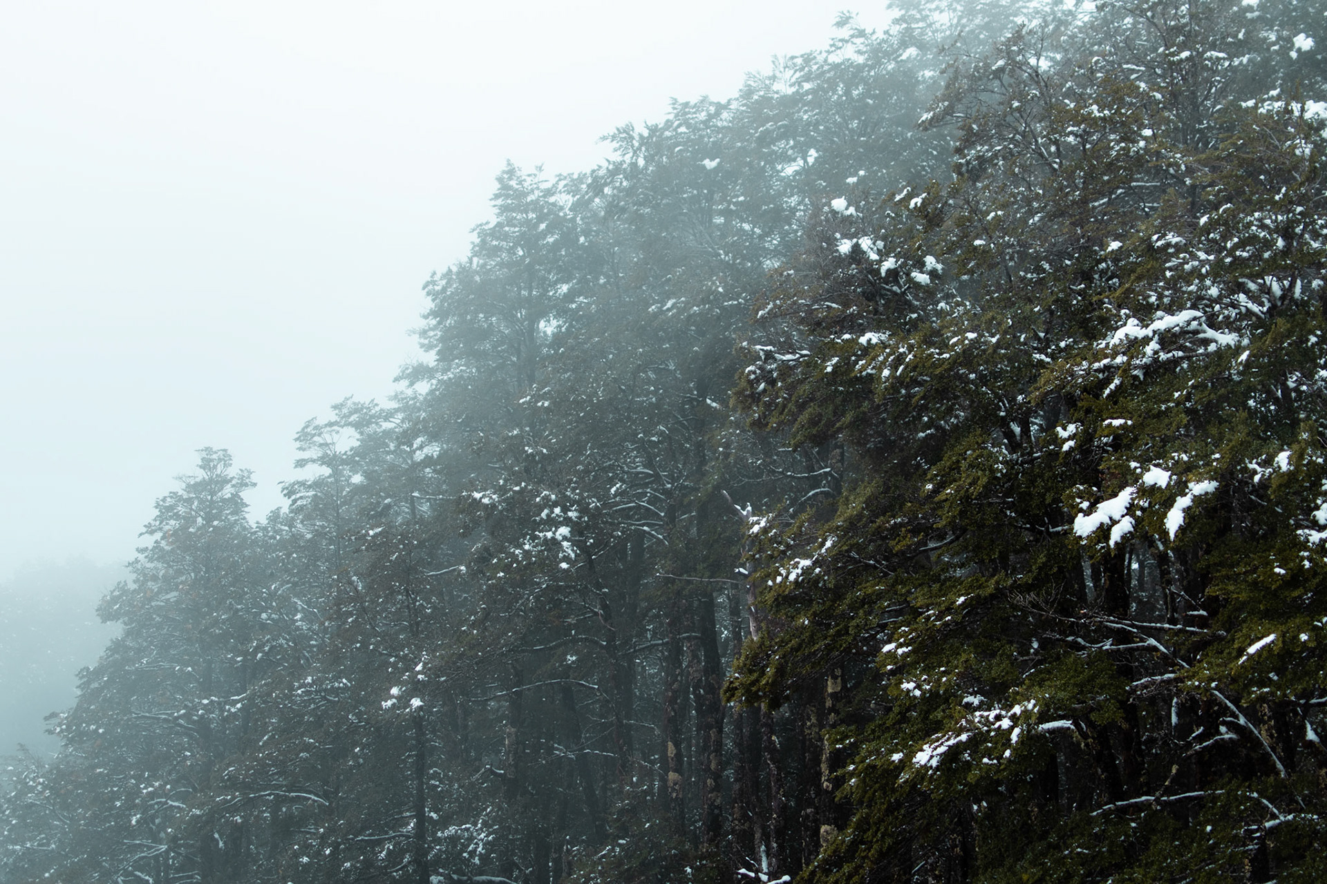 Entre las nubes del volcán Osorno, Chile