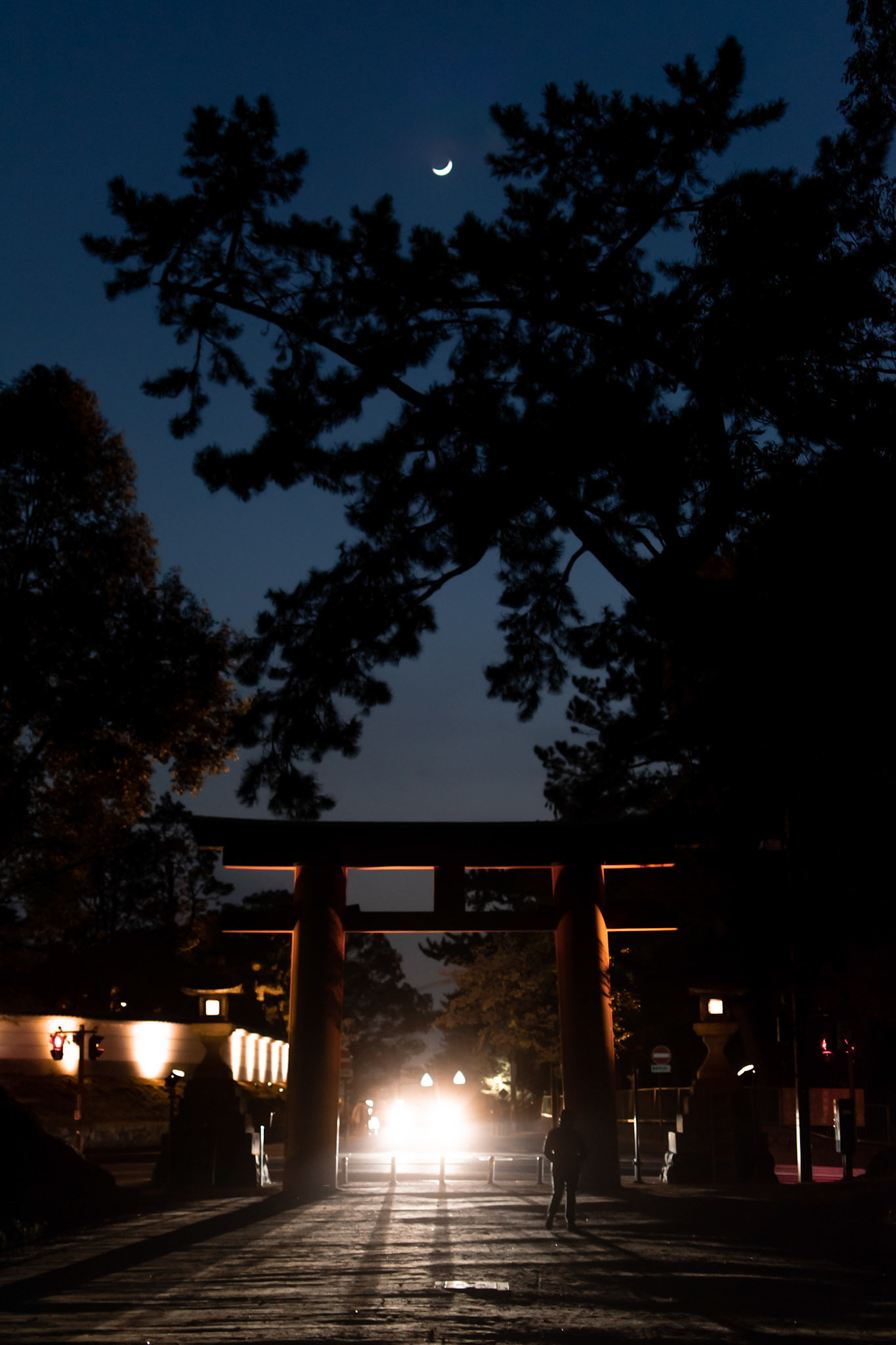 Luz nocturna - Parque de Nara, Japón