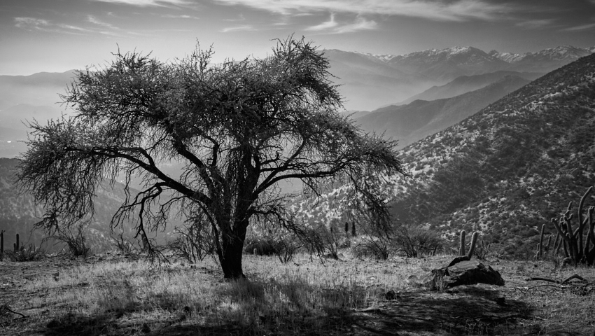 Cerro Alto de las Vizcachas - Santiago