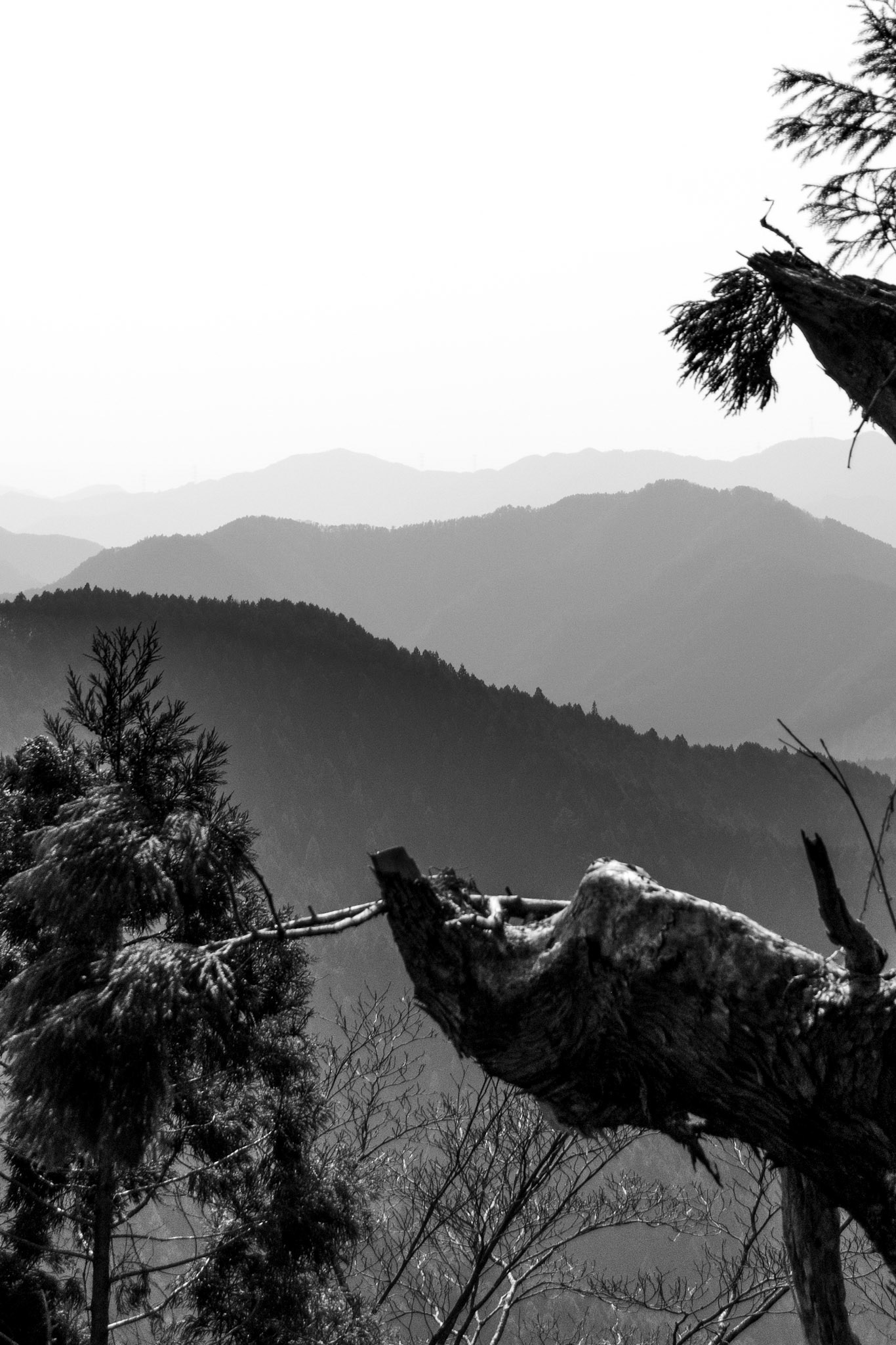 Montañas desde Templo Kurama-dera, Japón