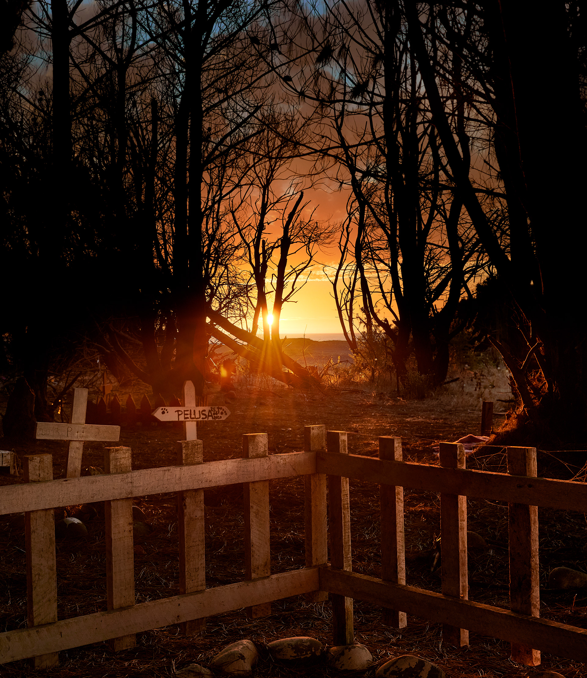 Cementerio de mascotas en San Pedro de La Paz, Chile