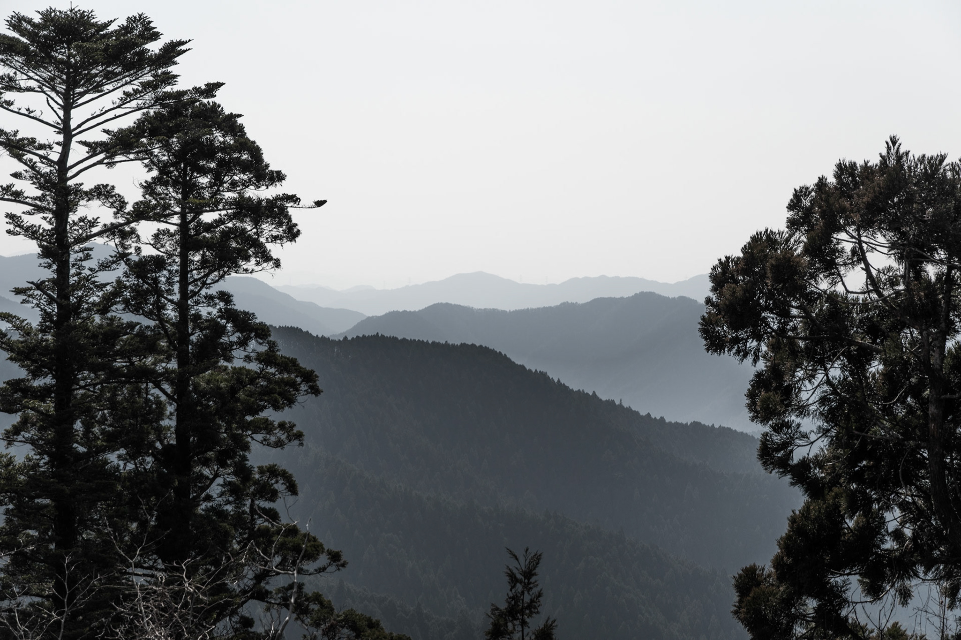 Montañas desde Templo Kurama-dera, Japón
