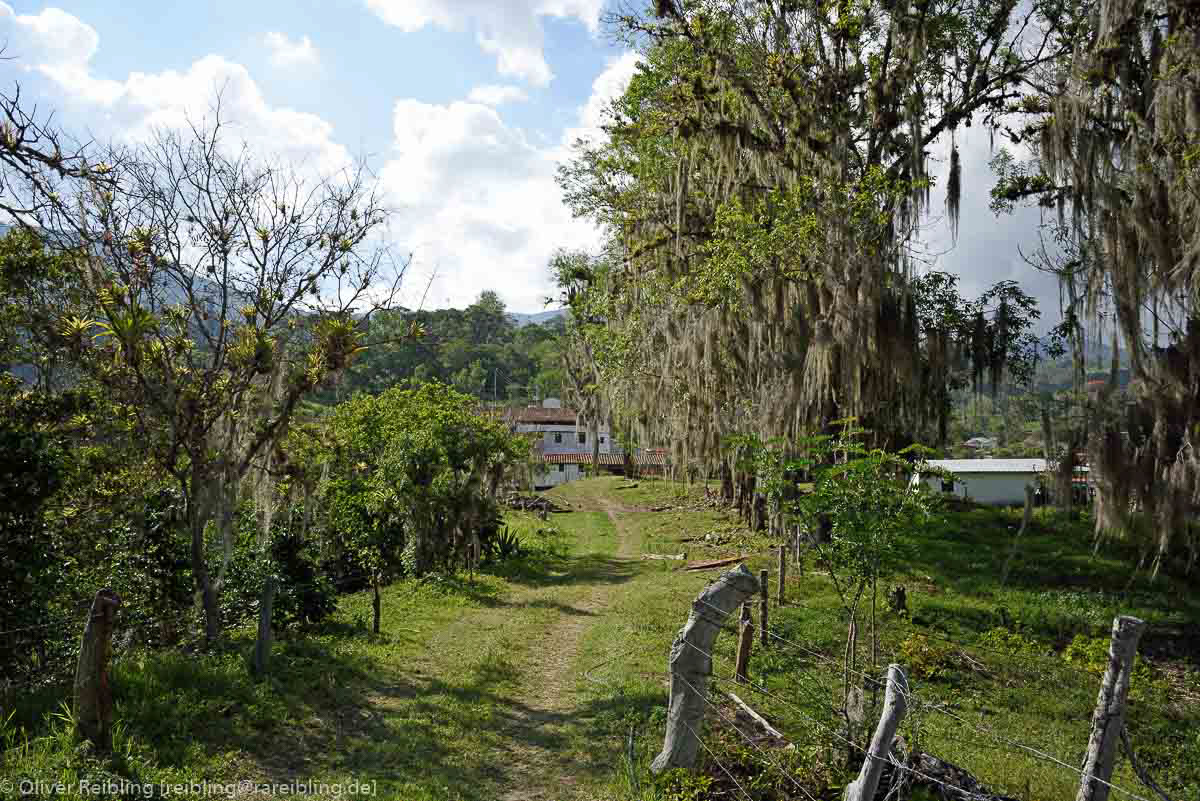 Hacienda El Carmen