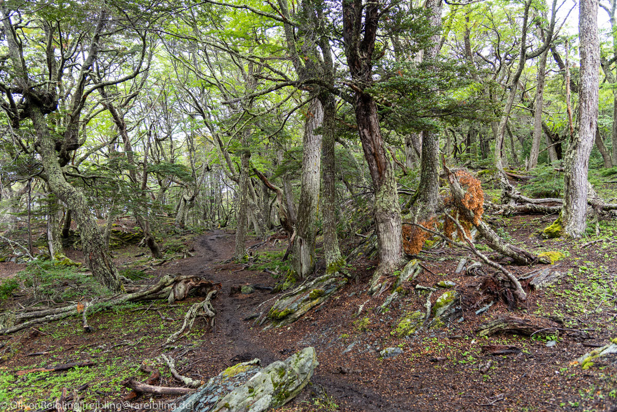 Tierra del Fuego - Feuerland