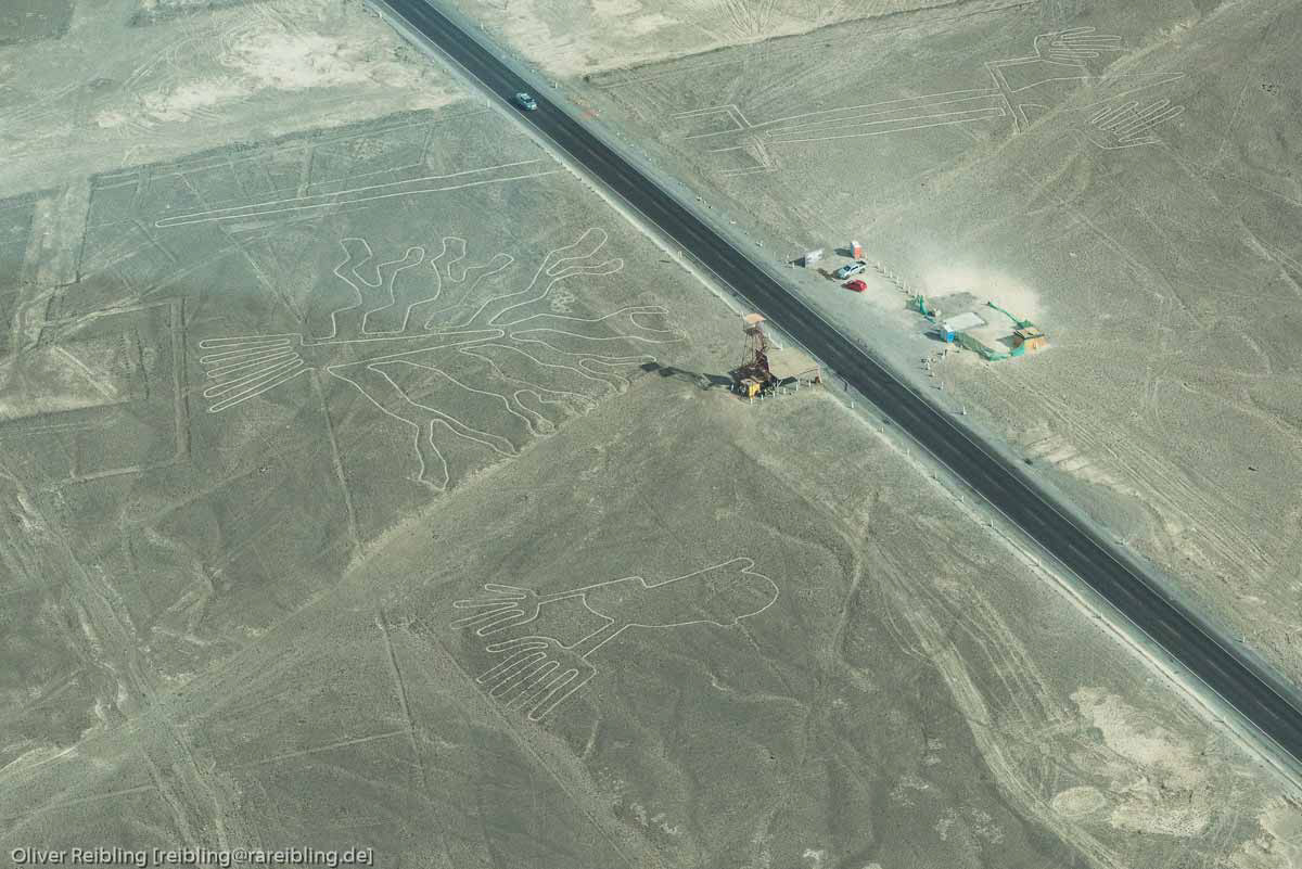 Nazcalinien - Baum und Hände