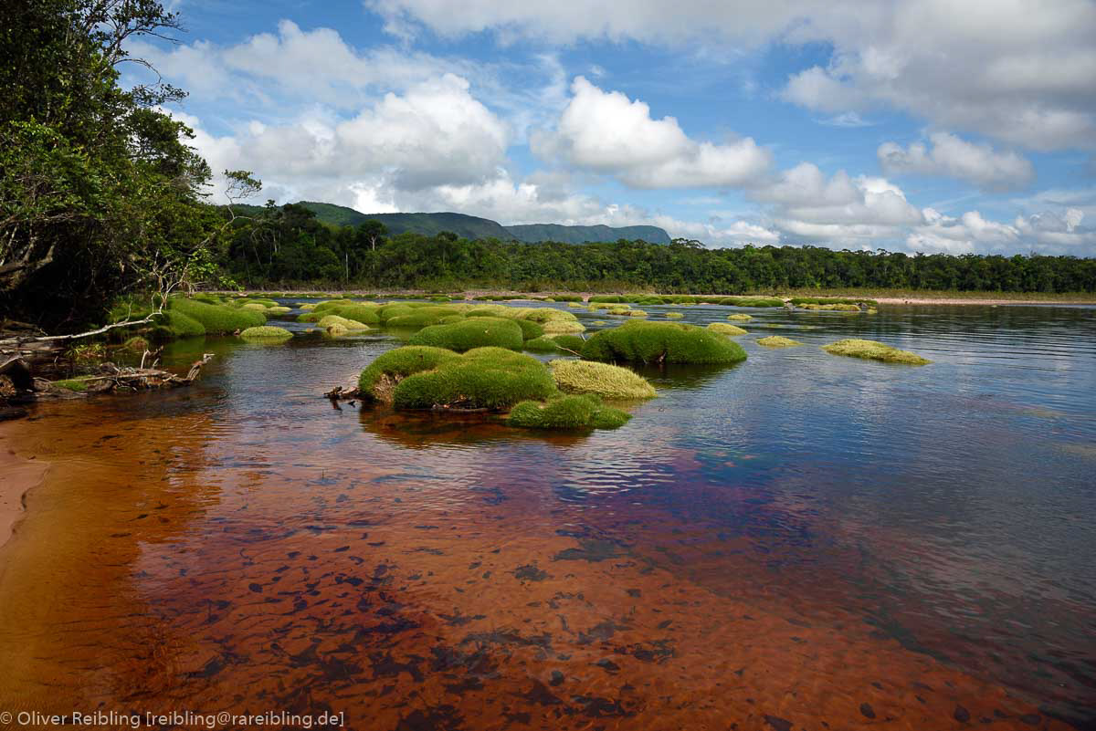 Rio Churun