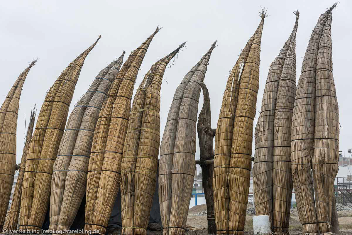 Caballitos de totora