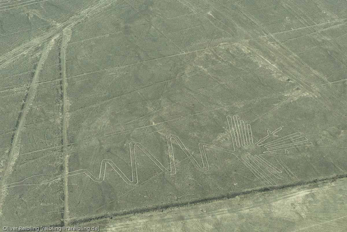 Nazcalinien - El Alcatraz