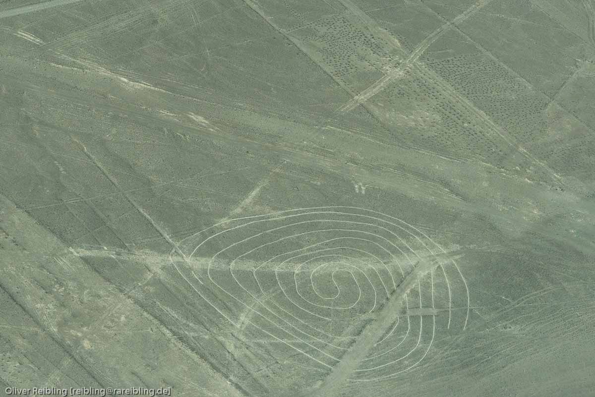 Nazcalinien - Spirale