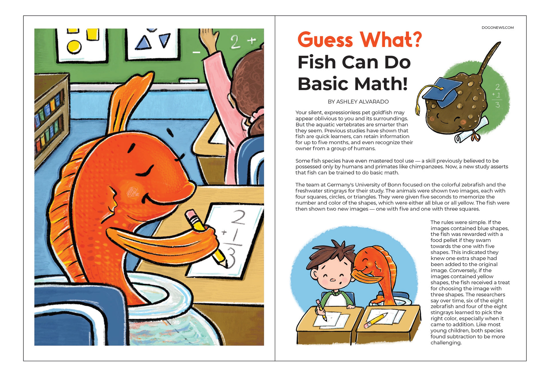 Fish Can Do Basic Math Mock-Up