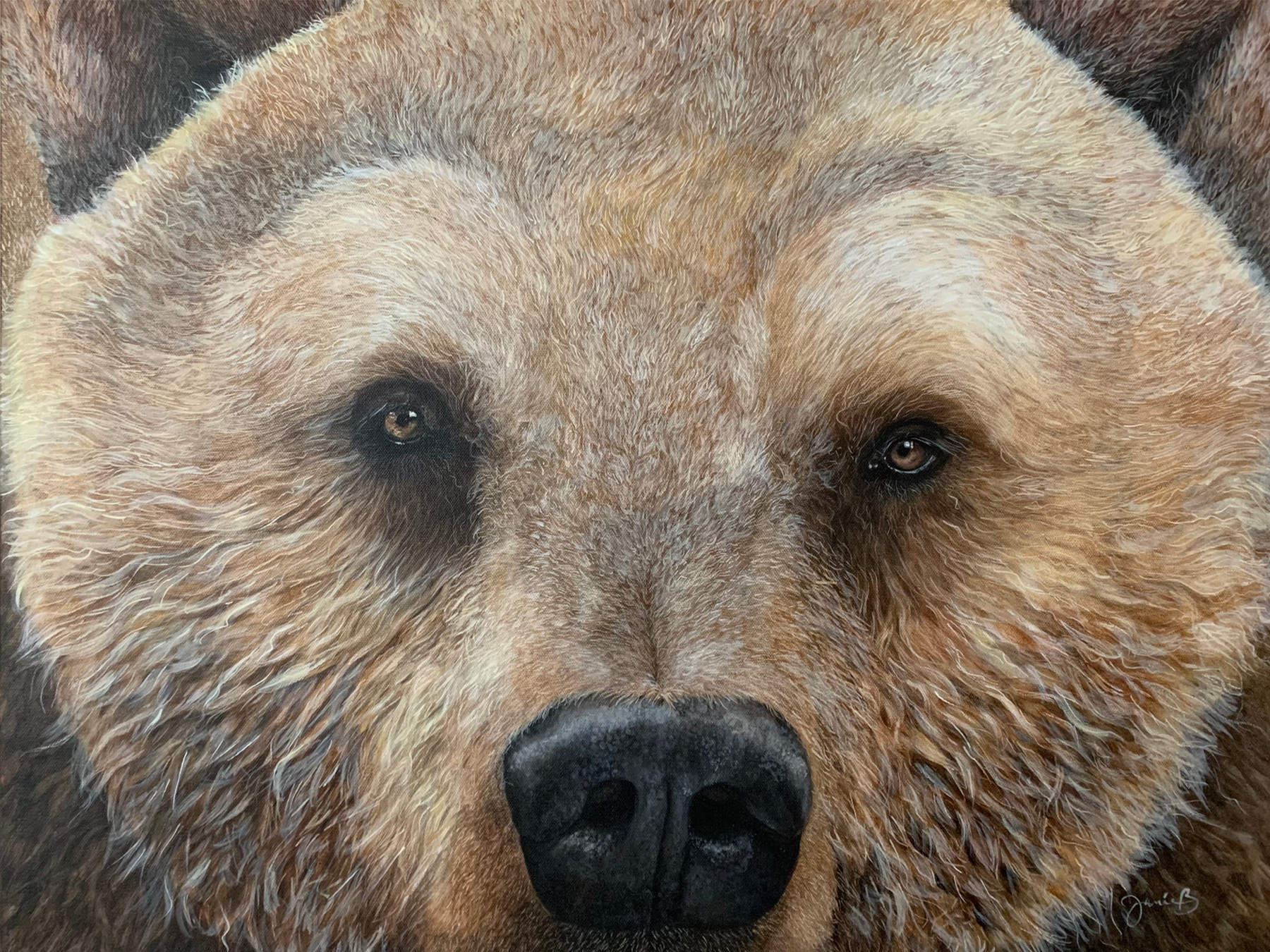 Bear closeup  Acrylic