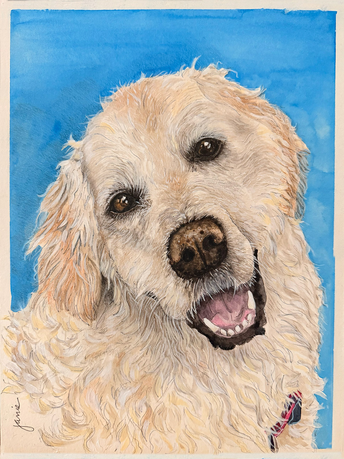 Bailey