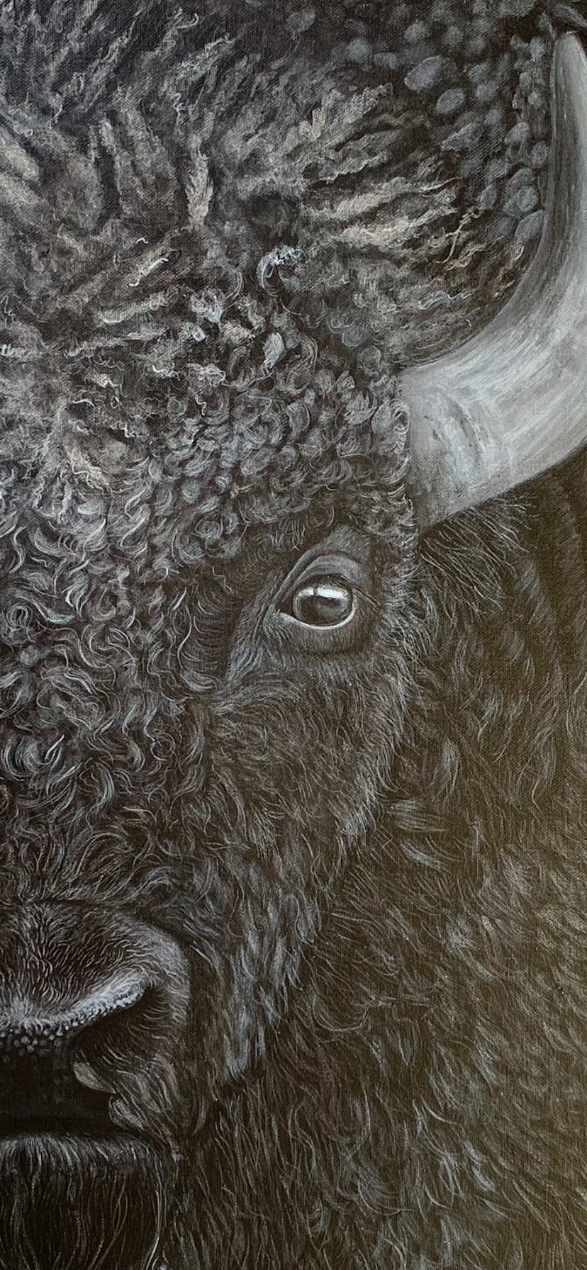 Buffalo Acrylic and oil