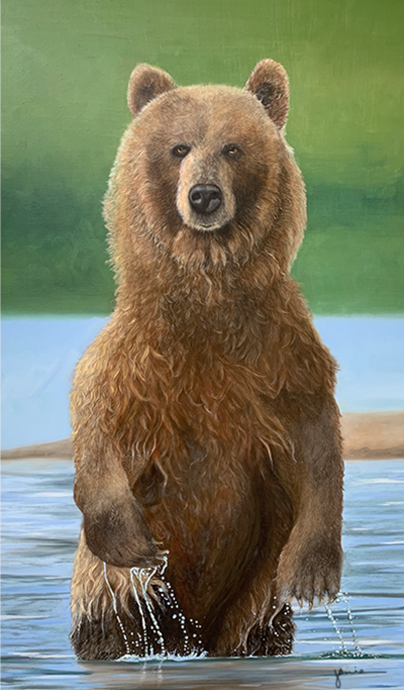 Grizzly in the water 30x48 Acrylic and Oil