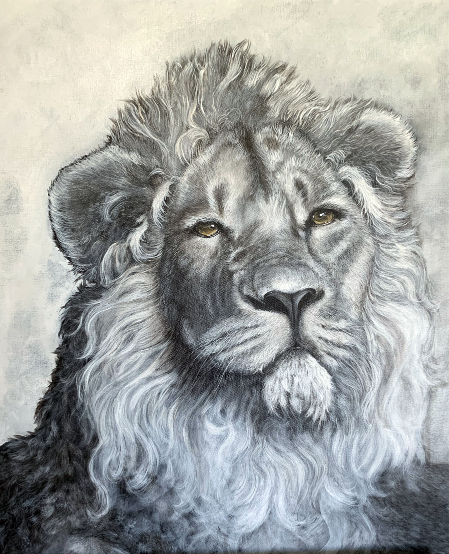 lion 18x24 Acrylic