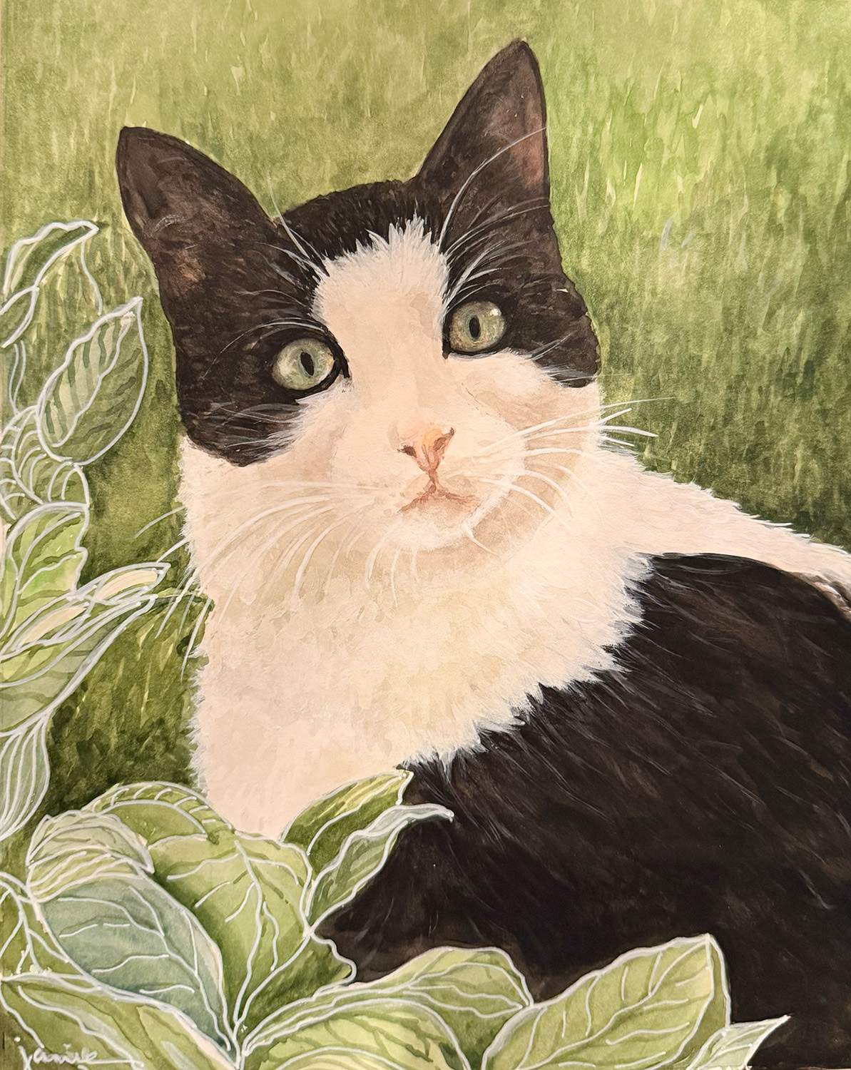 Zuzu