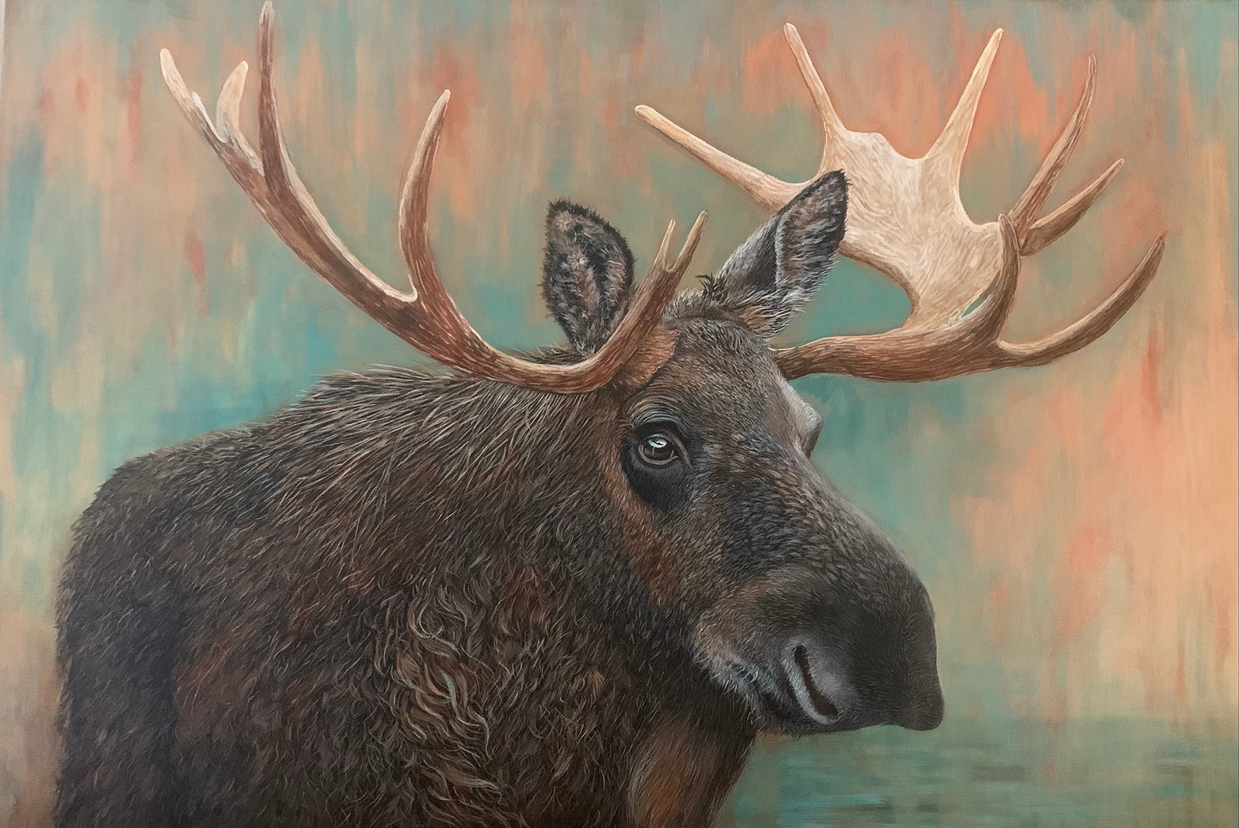 Moose 24x36 Acrylic