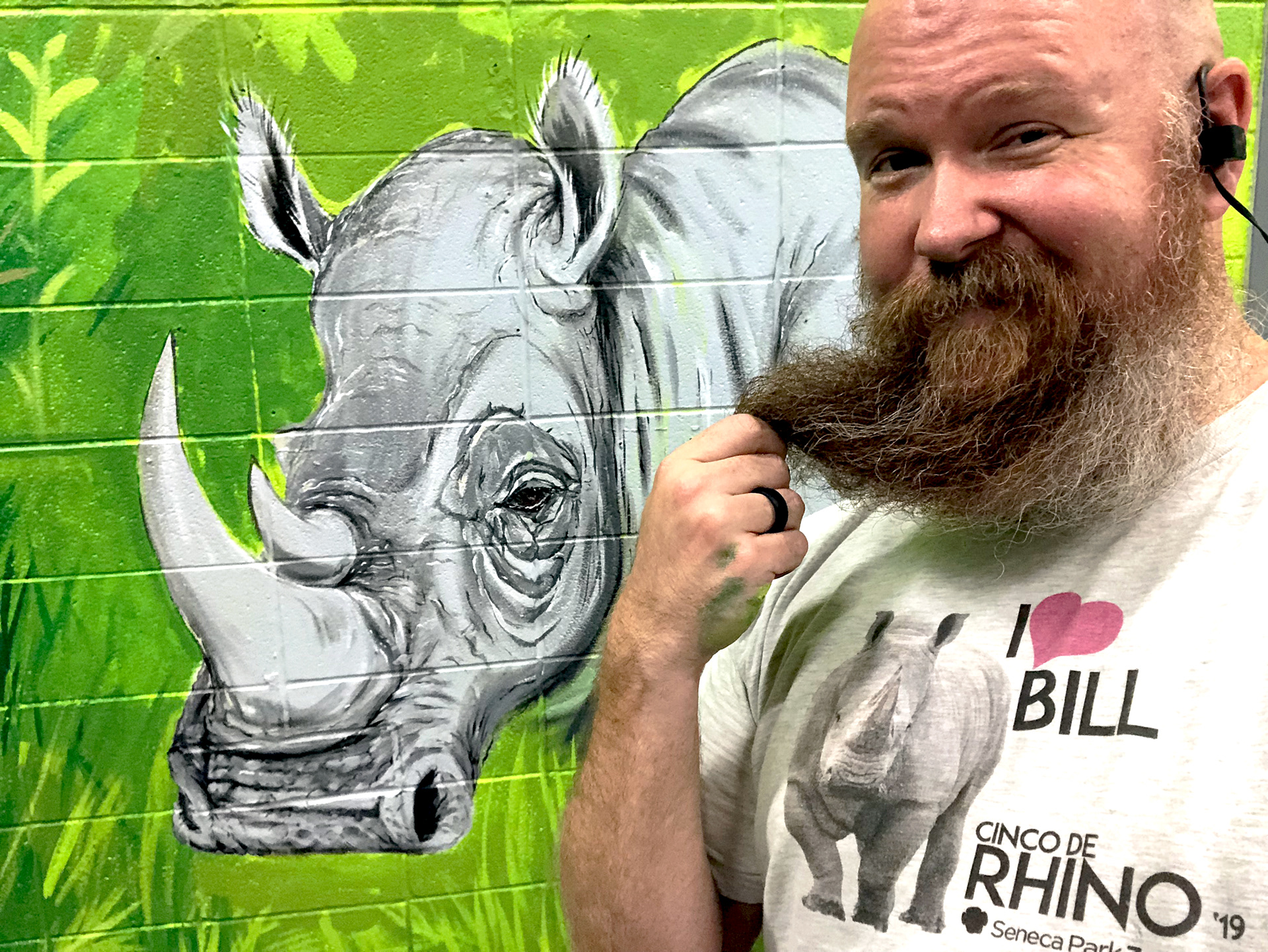 Portion of a interior Mural