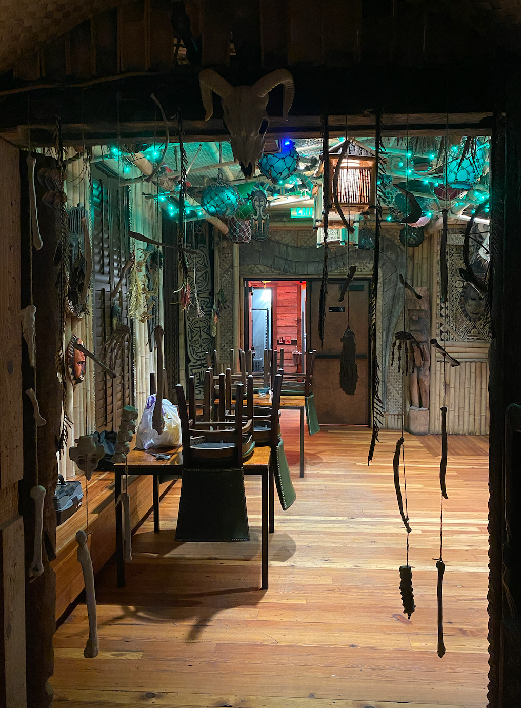 Witch doctor room bone curtain and hanging herbs in the background