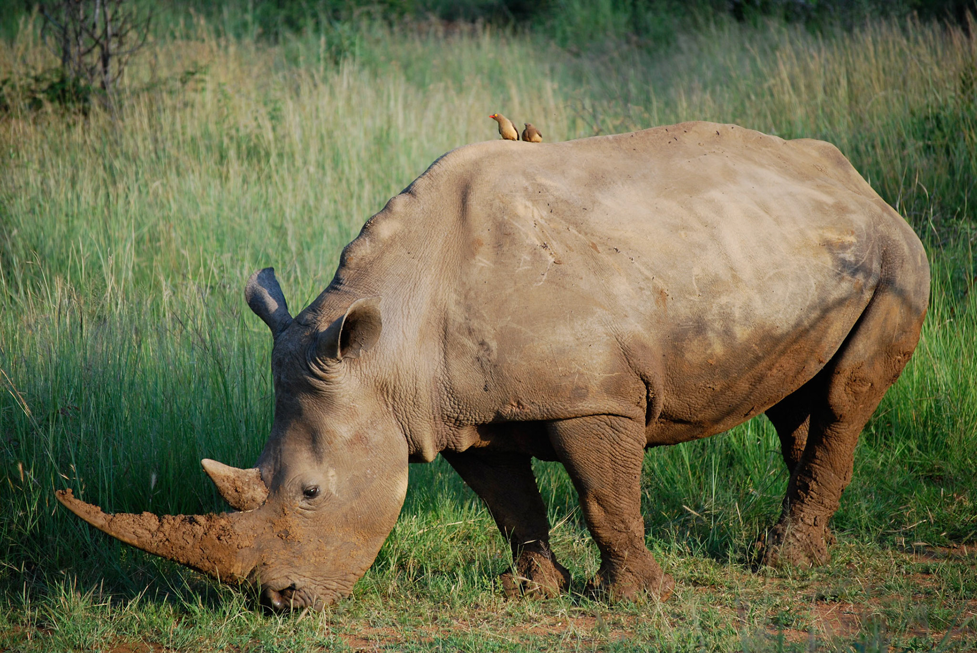 Photo by: Peter Liakopoulos Photography (www.peterliakopoulosphotography.com)