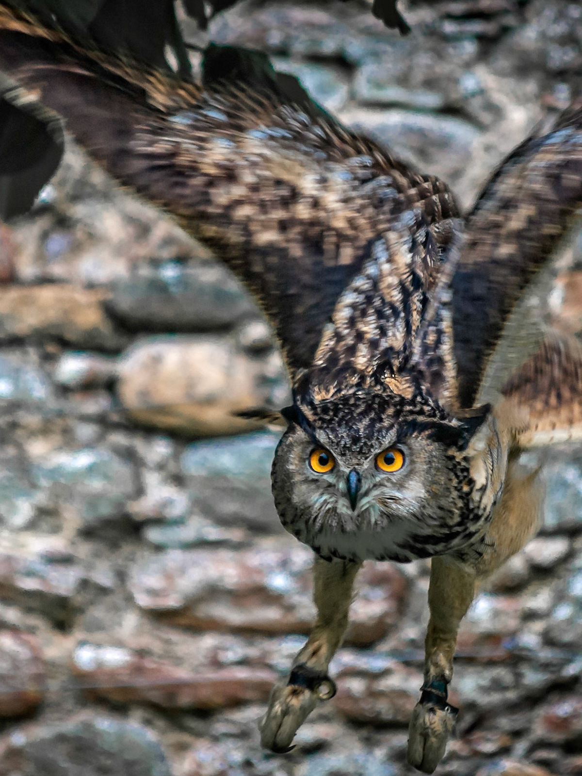 Photo by: Peter Liakopoulos Photography (www.peterliakopoulosphotography.com)