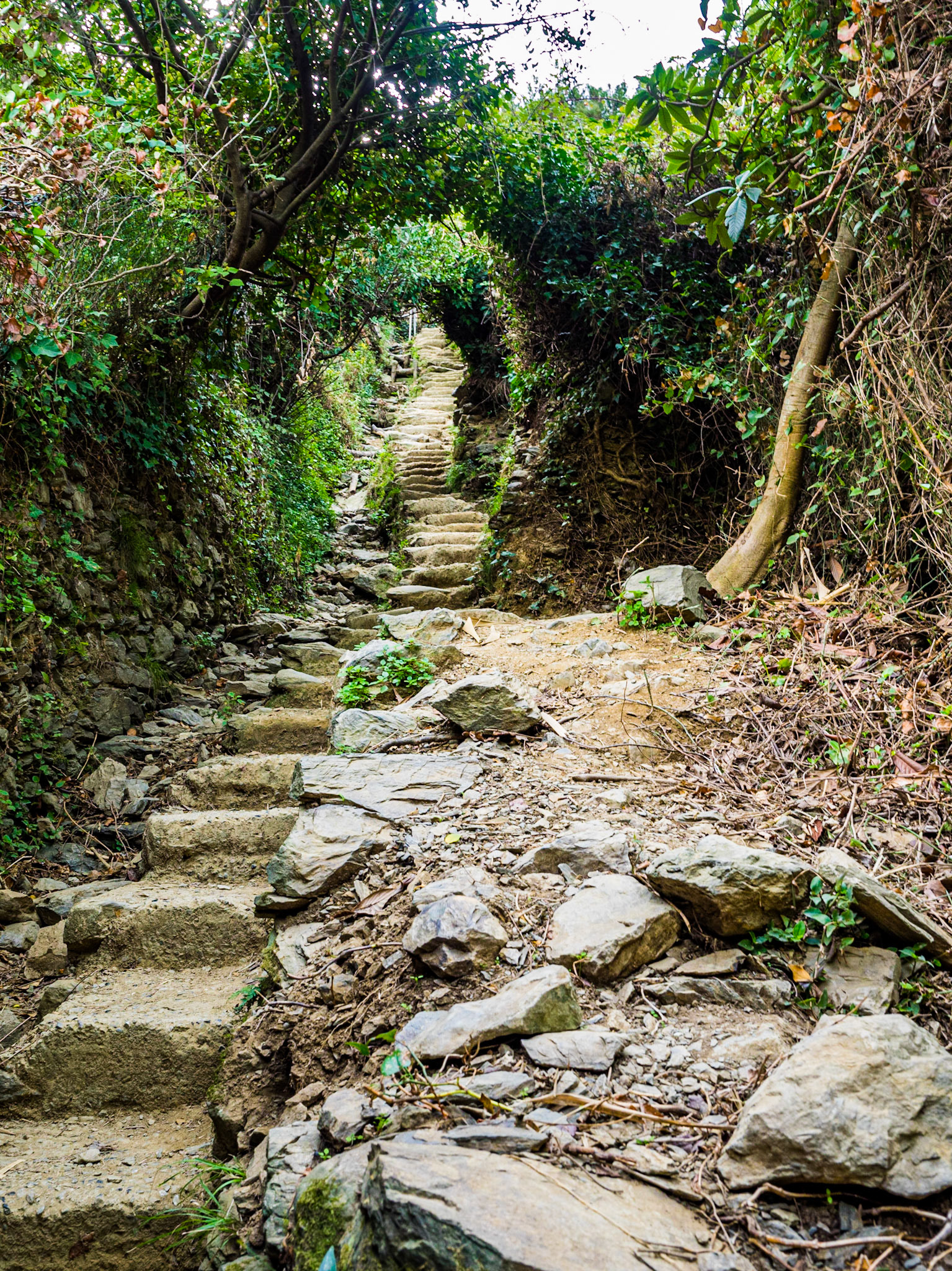 CinqueTerra_Vernazza-2