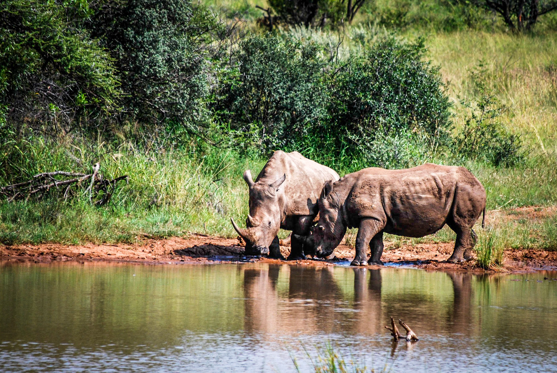 Photo by: Peter Liakopoulos Photography (www.peterliakopoulosphotography.com)