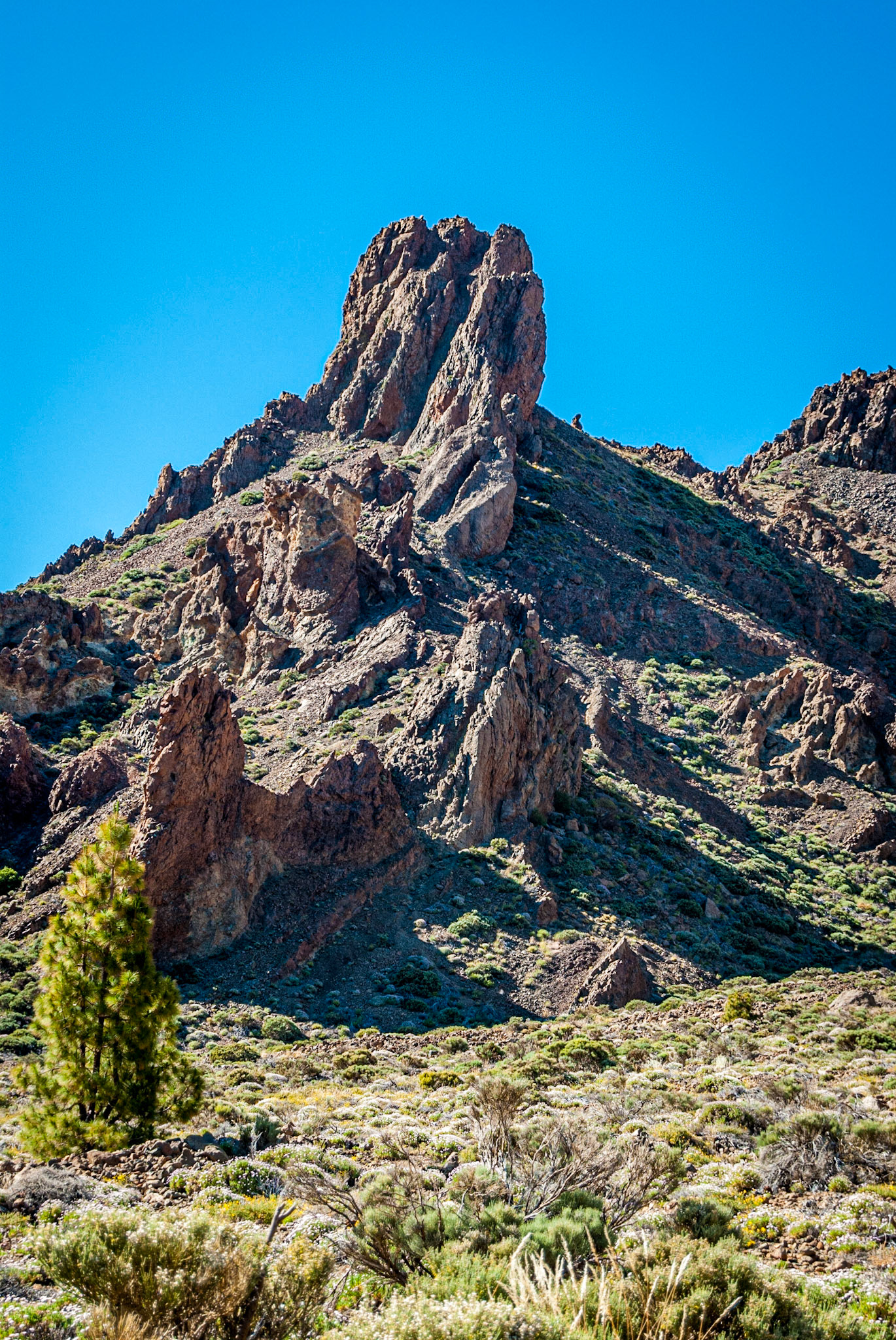 Photo by: Peter Liakopoulos Photography (www.peterliakopoulosphotography.com)