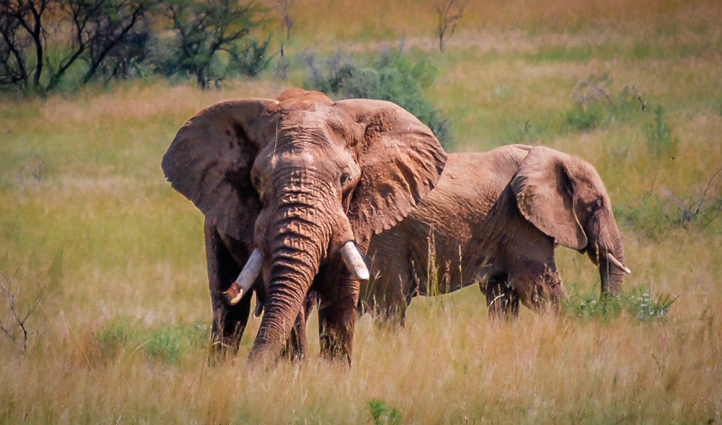 Photo by: Peter Liakopoulos Photography (www.peterliakopoulosphotography.com)