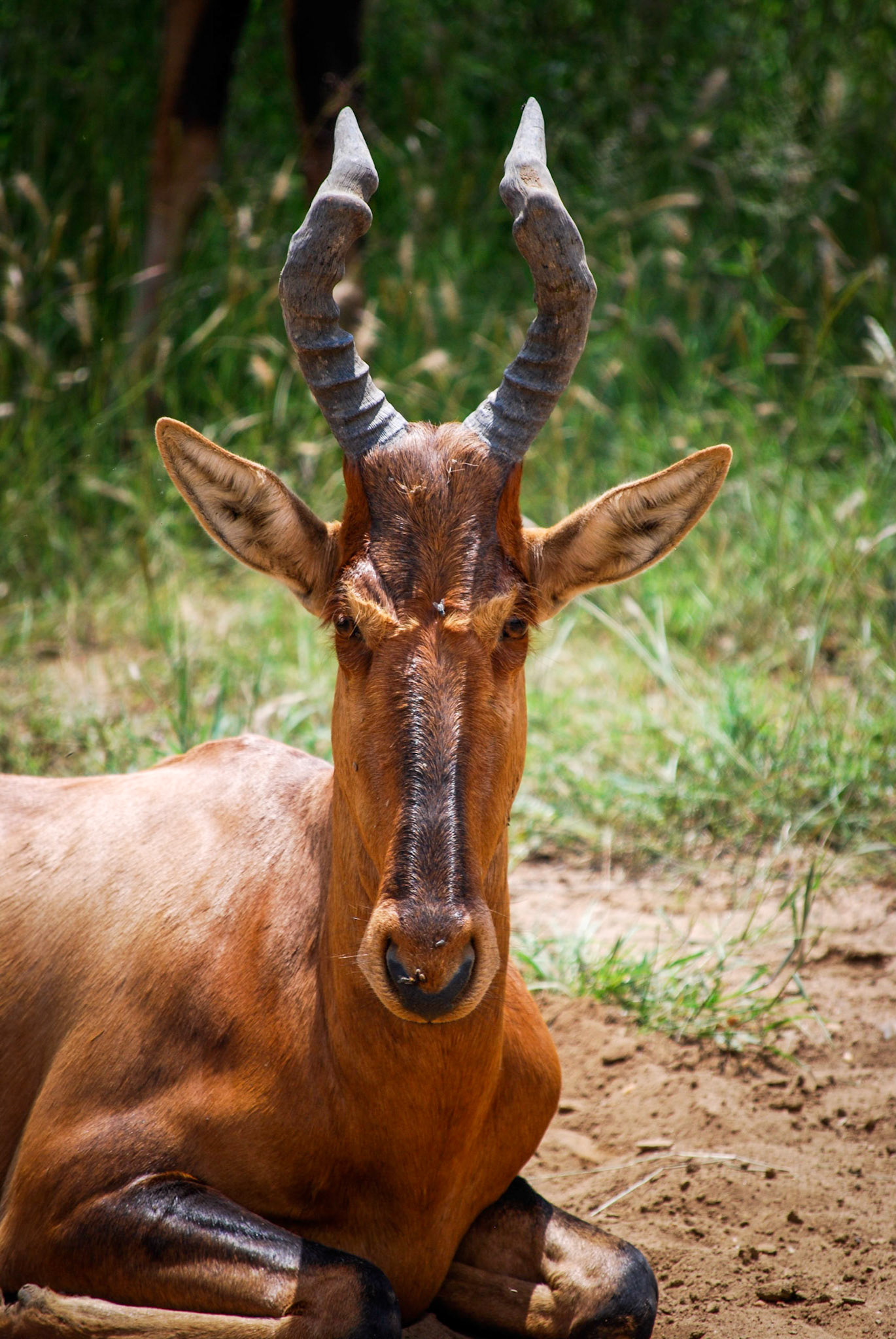 Photo by: Peter Liakopoulos Photography (www.peterliakopoulosphotography.com)