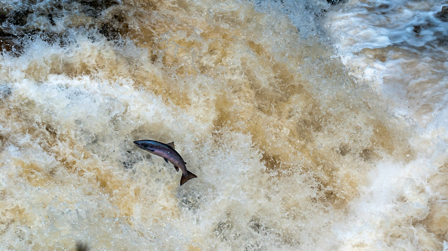 Photo by: Peter Liakopoulos Photography (www.peterliakopoulosphotography.com)