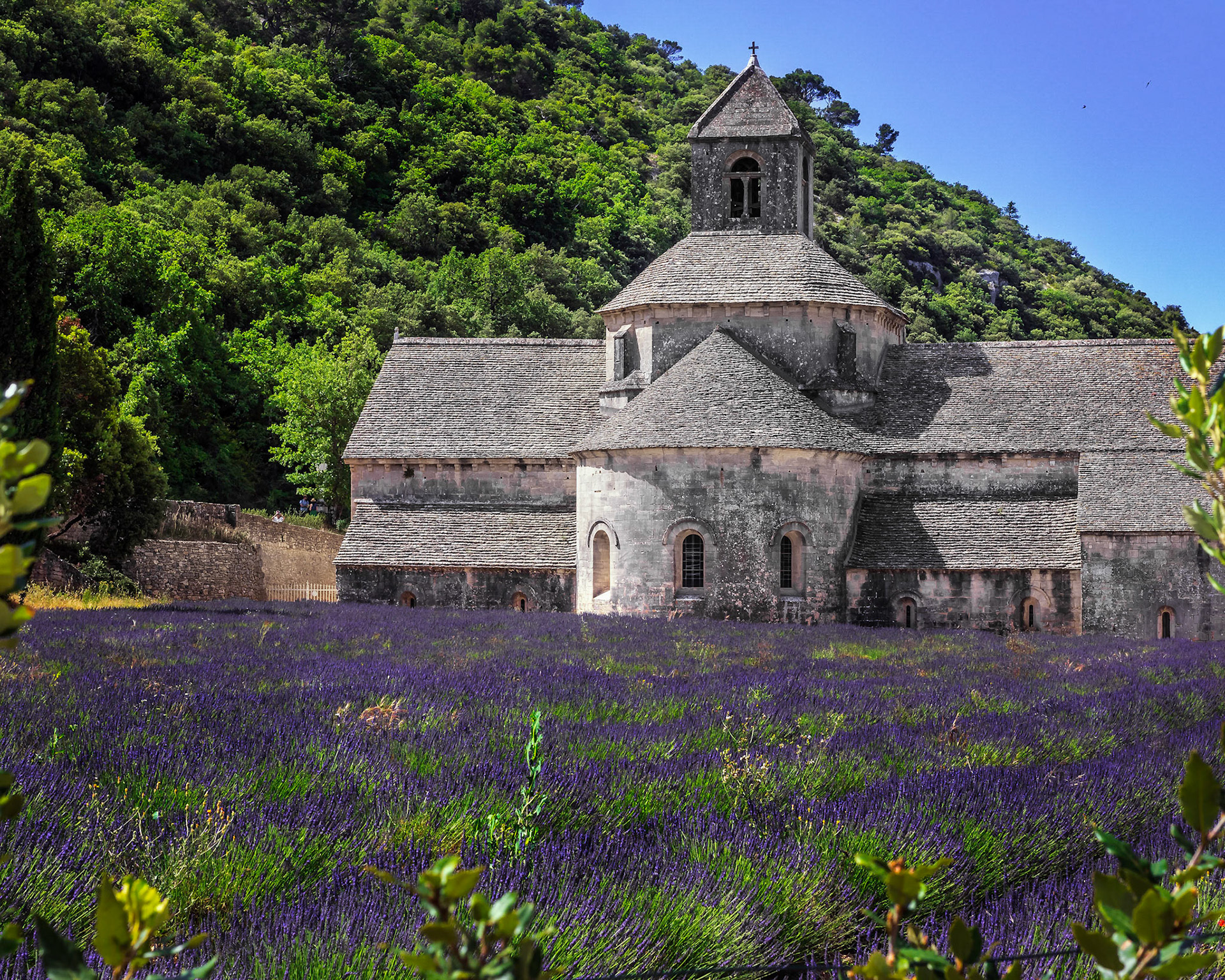 France - 36