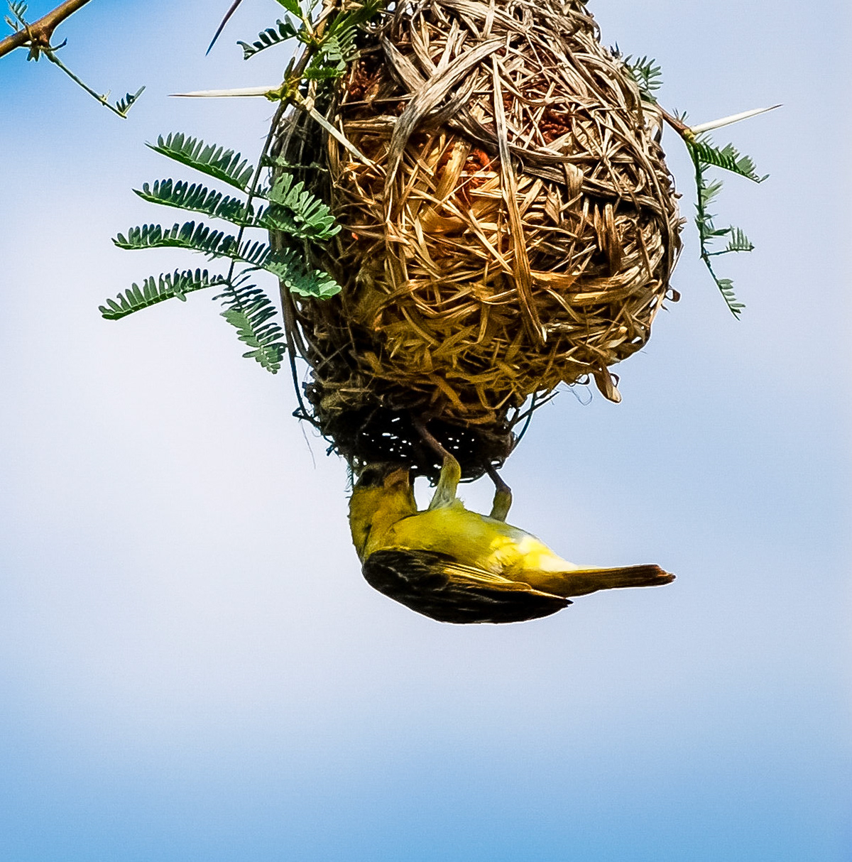 Photo by: Peter Liakopoulos Photography (www.peterliakopoulosphotography.com)