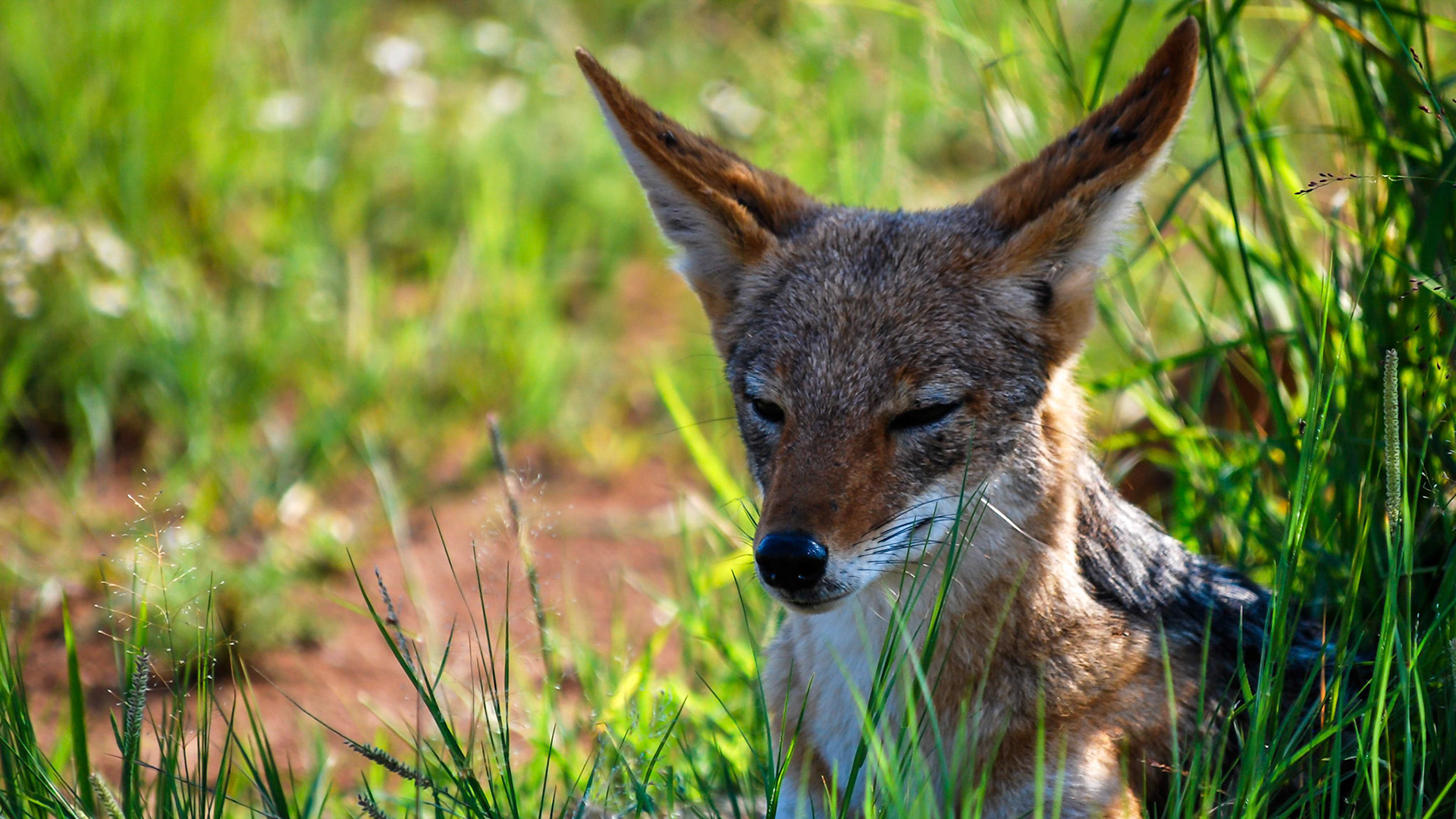 Photo by: Peter Liakopoulos Photography (www.peterliakopoulosphotography.com)