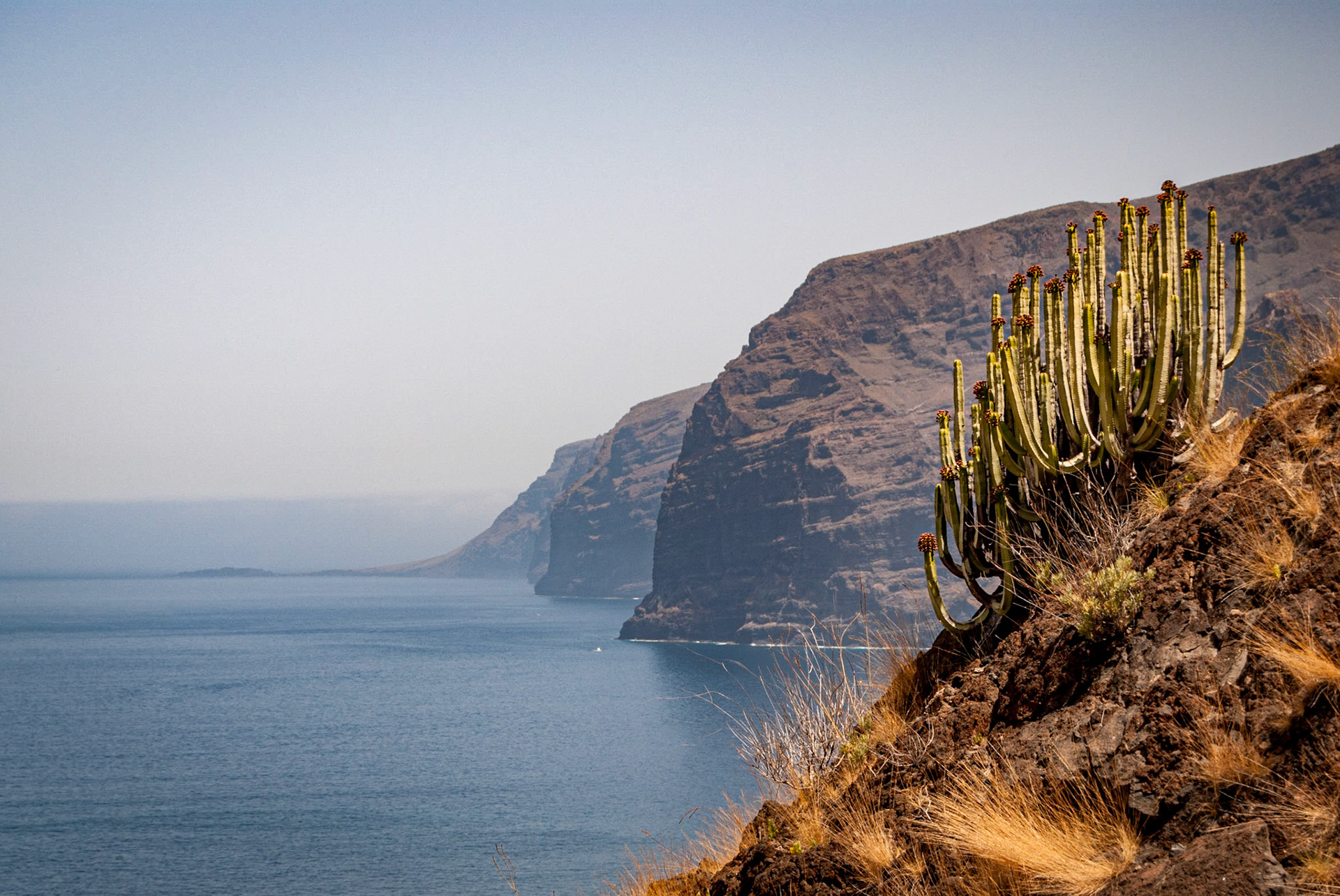 Photo by: Peter Liakopoulos Photography (www.peterliakopoulosphotography.com)