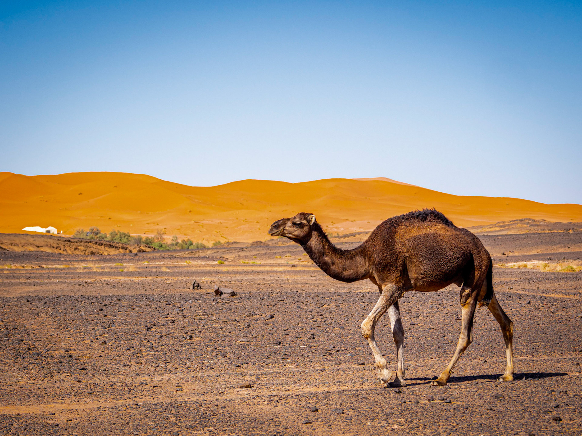 Morocco - 46