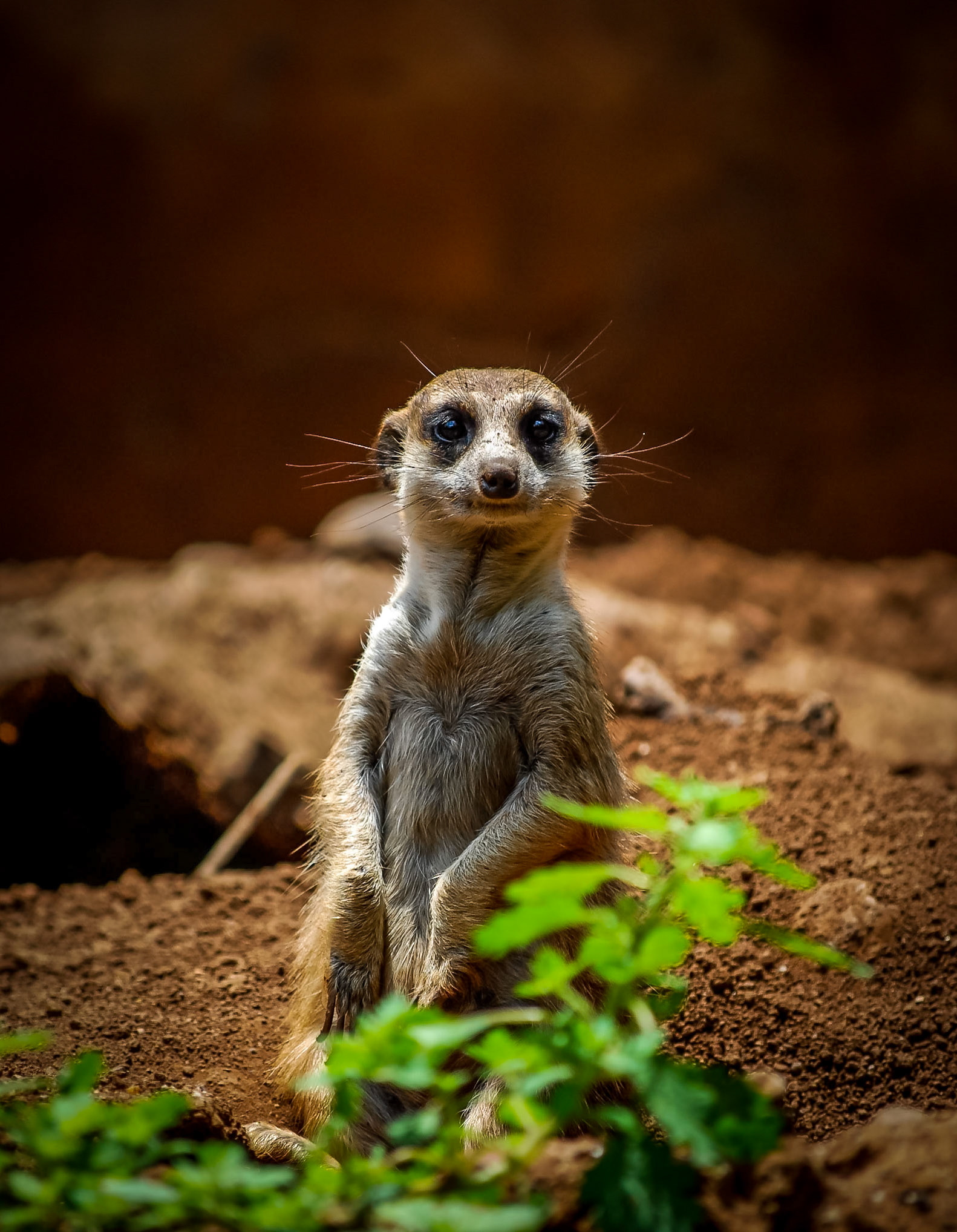 Photo by: Peter Liakopoulos Photography (www.peterliakopoulosphotography.com)