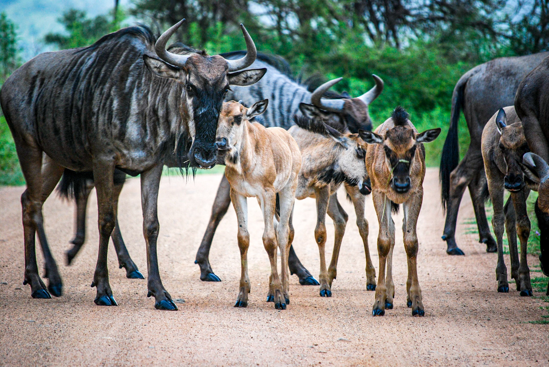 Photo by: Peter Liakopoulos Photography (www.peterliakopoulosphotography.com)