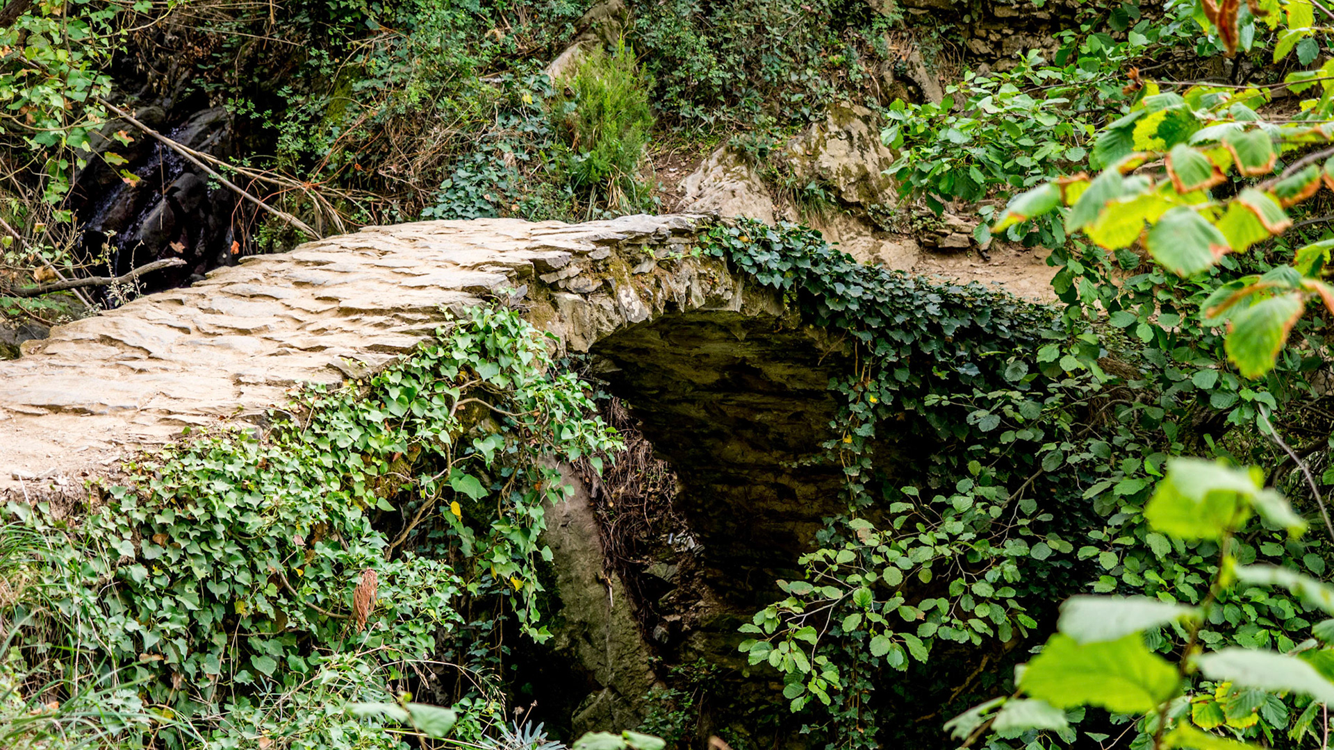 CinqueTerra_Vernazza-4