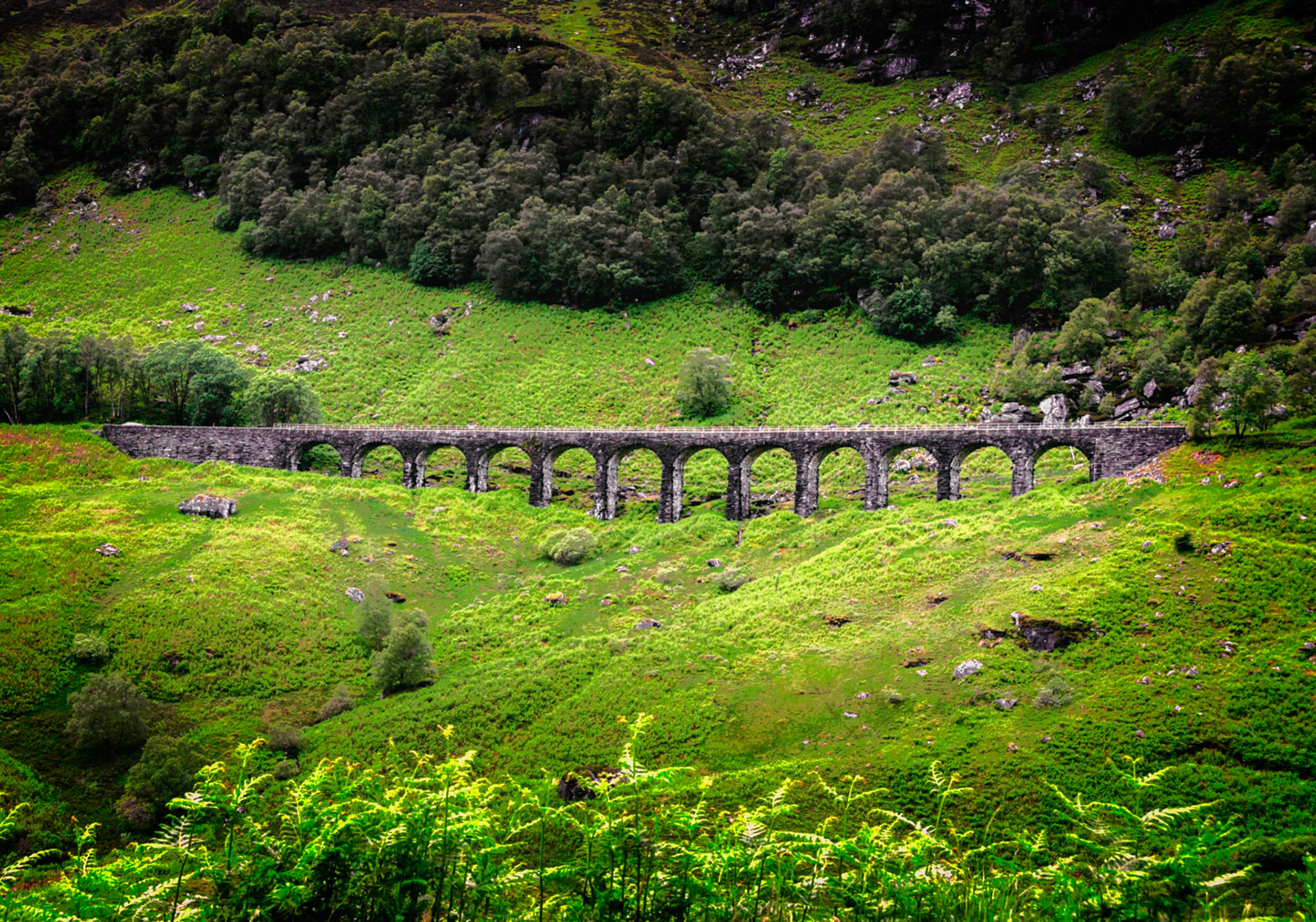 Photo by: Peter Liakopoulos Photography (www.peterliakopoulosphotography.com)