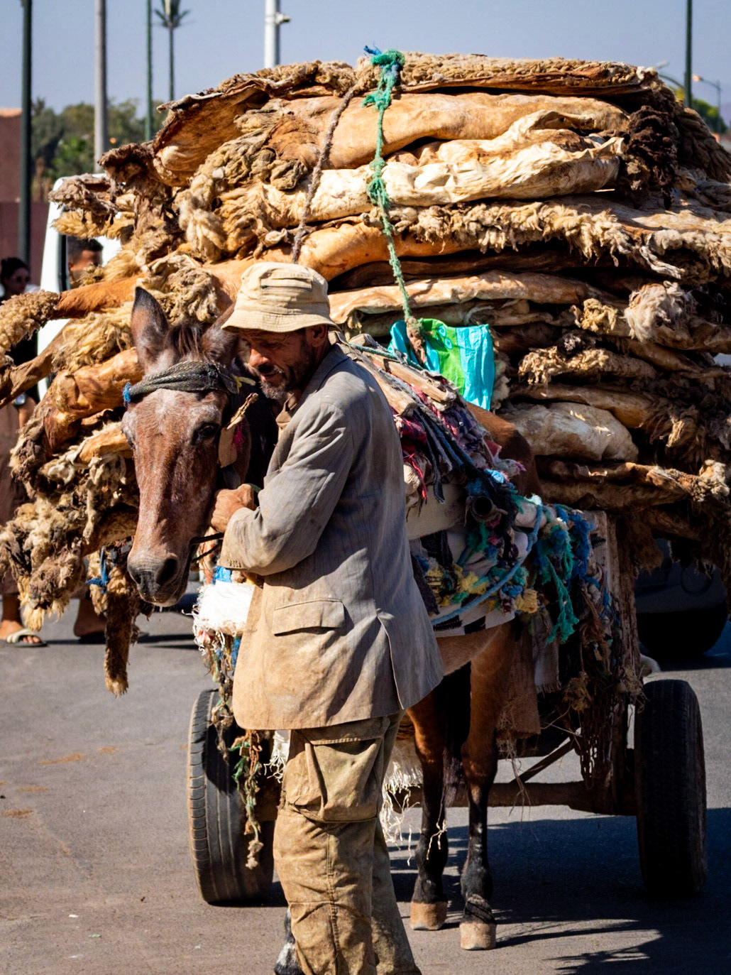 Morocco - 58