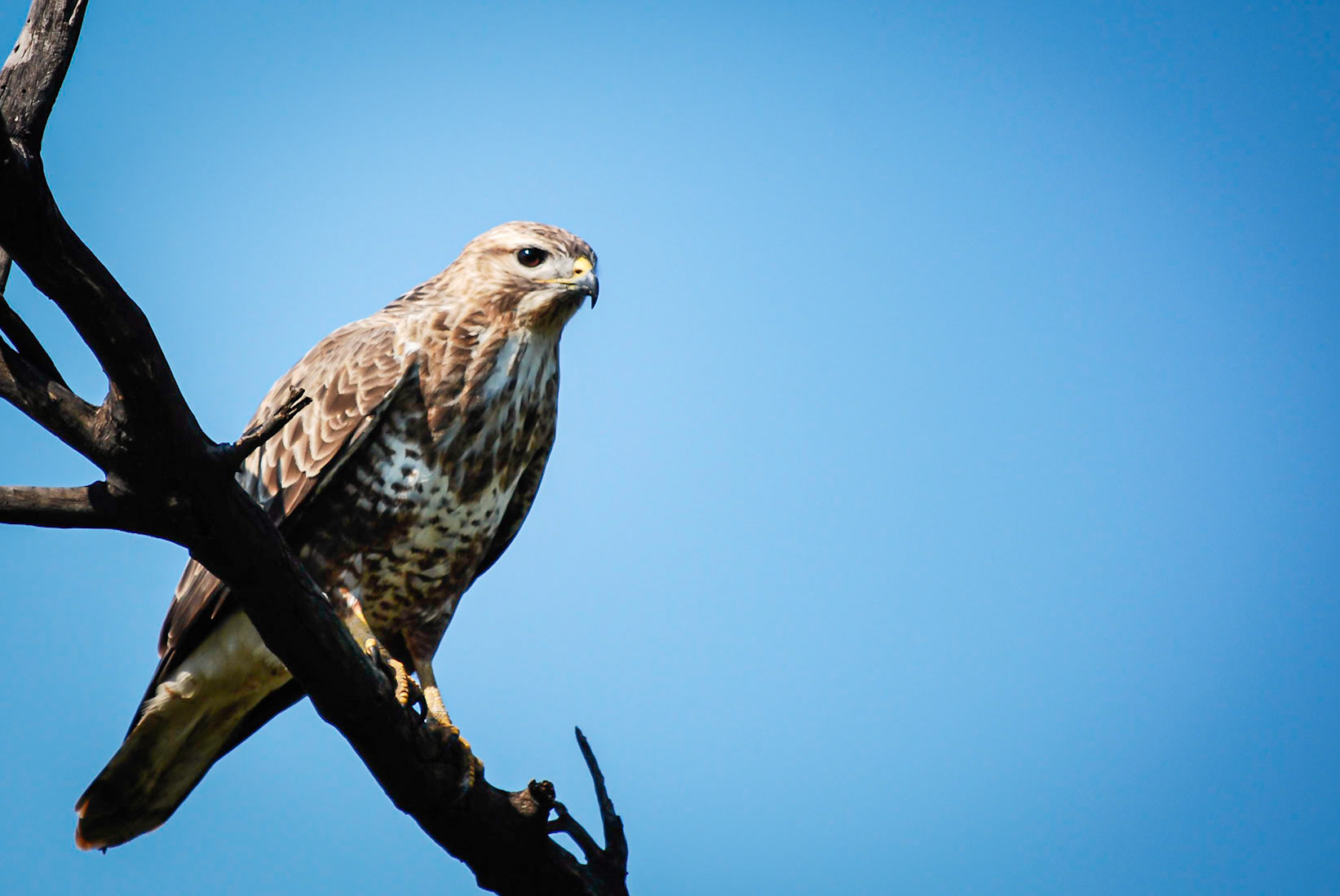 Photo by: Peter Liakopoulos Photography (www.peterliakopoulosphotography.com)